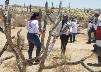 En el Día Internacional de las Víctimas de Desapariciones Forzadas, los colectivos de búsqueda de Sonora no se detienen