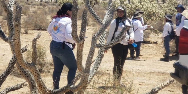 En el Día Internacional de las Víctimas de Desapariciones Forzadas, los colectivos de búsqueda de Sonora no se detienen