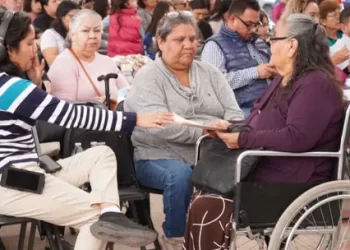 ¿Cómo me Resgistro al Programa de Estímulos Económicos para Personas con Discapacidad Sonora?