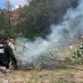 Destruyen Plantío de Marihuana de Aproximadamente 8 Mil 300 Plantas en Cananea