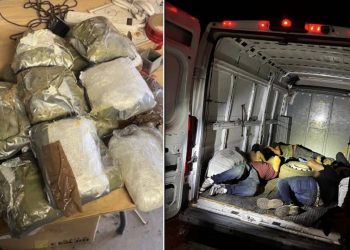 Operación Desert Guardian: Más de 600 arrestos y casi mil libras de drogas incautadas en Arizona