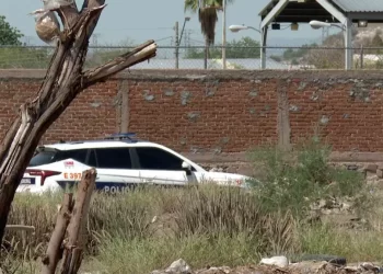 Hombre Detenido Tras Disparar a Espaldas de Escuela Primaria en Hermosillo