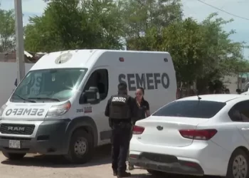 Encuentran a Hombre Sin Vida con Signos de Violencia y Atado a un Árbol en Hermosillo