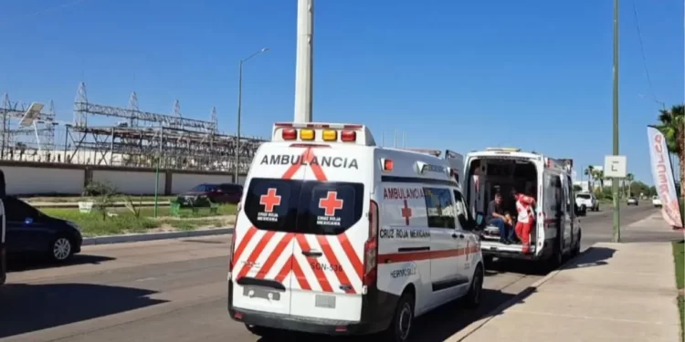 Enjambre de Abejas Ataca a Personas en el Acceso a Fraccionamiento La Encantada, en Hermosillo