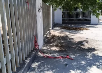 Hombre es Agredido a Balazos en Carreta de Tacos por Fuera de Escuela Primaria, en Hermosillo