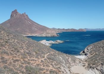 Sonora ha tenido 64 sismos en lo que va de 2025; conoce a detalle cuáles son los municipios en los que hay más actividad