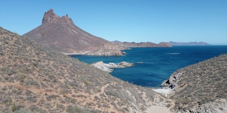 Sonora ha tenido 64 sismos en lo que va de 2025; conoce a detalle cuáles son los municipios en los que hay más actividad