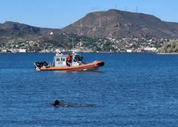 Localizan Sin Vida a Buzo que Cayó al Mar en la Sexta Región Naval en Guaymas