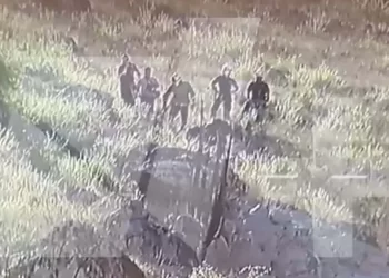 Senderistas Encuentran Cuerpo en Descomposición en Cerro de la Cementera de Hermosillo