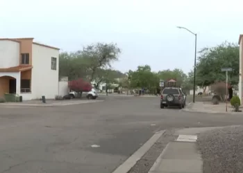 Sujeto Muerde a Policía Cuando Intentaron Detenerlo en Hermosillo