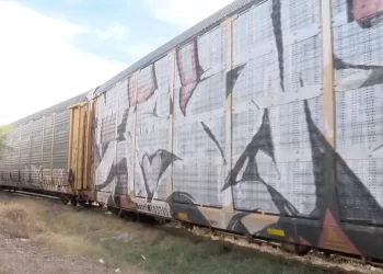 Tren Arrolló a Hombre en Santa Ana; Esto Pasó