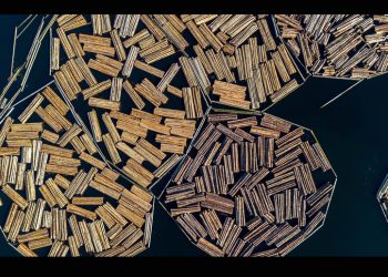 ‘Ni los muebles se salvan de Trump’: Arancel a la madera entrará en vigor en octubre