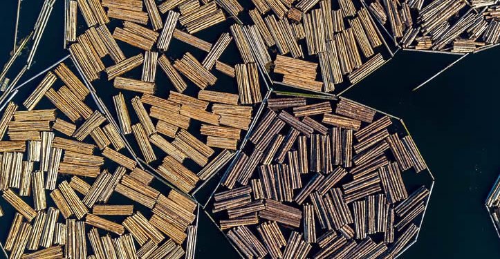 ‘Ni los muebles se salvan de Trump’: Arancel a la madera entrará en vigor en octubre