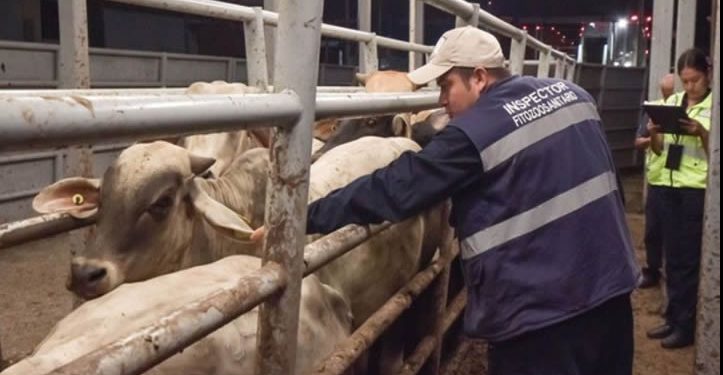 Sader afirma que caso de gusano barrenador en NL está contenido