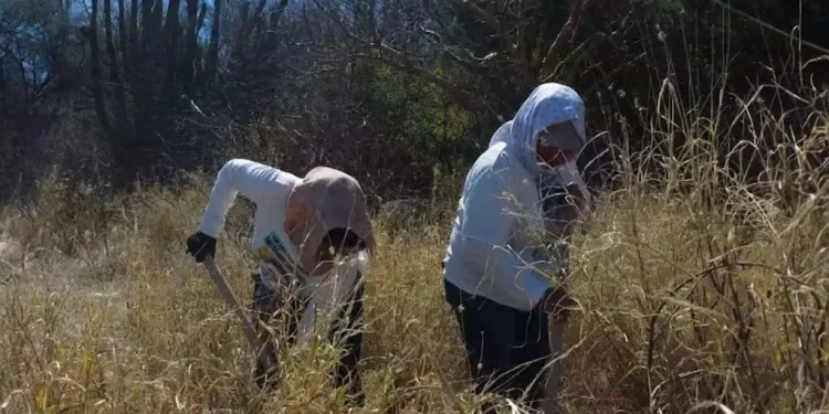 Colectivo Encuentra Restos Óseos y un Cuerpo Calcinado en Mesa del Seri