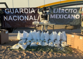 Detienen a hombre que transportaba más de 40 kilos de presunta metanfetamina oculta en un tractocamión en Sonora