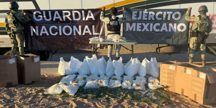 Detienen a hombre que transportaba más de 40 kilos de presunta metanfetamina oculta en un tractocamión en Sonora