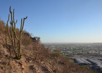 Sonora lidera los estados mexicanos en muertes por calor