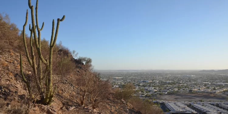 Sonora lidera los estados mexicanos en muertes por calor