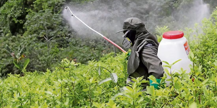 Estos son los 35 plaguicidas prohibidos por decreto presidencial; algunos aún se comercializan y usan en el campo