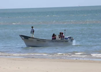 Embargo de E.U impactará a 60 especies del Golfo, incluida la curvina y merluza