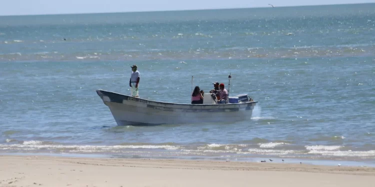 Embargo de E.U impactará a 60 especies del Golfo, incluida la curvina y merluza