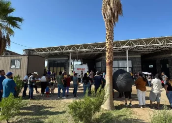 Repuve da prórroga en San Luis Río Colorado para regularizar vehículos