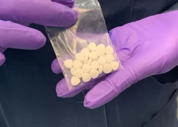 Baja California, Sinaloa y Sonora; el nuevo triángulo dorado del narco