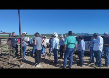 Llegan a Sonora inspectores del Departamento de Agricultura de EEUU para determinar si se ábre la frontera a la exportación de ganado