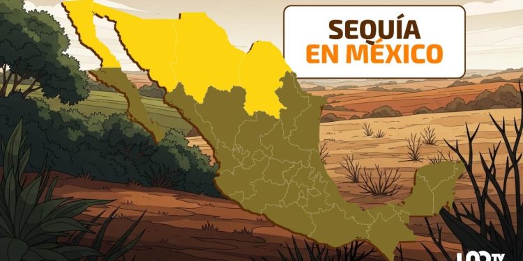 Sequía 2025: 186 municipios aún afectados, Sonora el más crítico