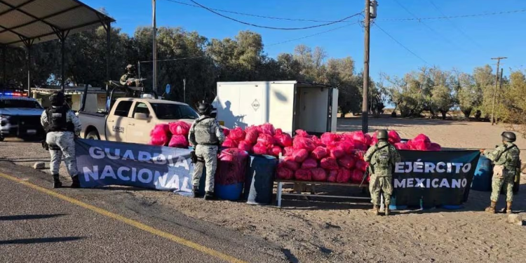 Aseguran más de una tonelada de metanfetamina en Sonora; hay dos detenidos