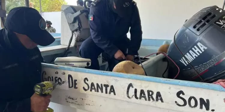 No cumplen con instalación de GPS a embarcaciones del hábitat de la vaquita marina