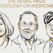 Investigadores Mary E. Brunkow, Fred Ramsdell y Shimon Sakaguchi ganan el Premio Nobel de Medicina 2025