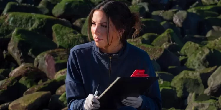 Lo que advierte el destino de la vaquita sobre los tiburones