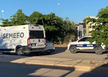 Recolectores de Dátiles Cayeron de Cuatro Metros de Altura en San Luis Río Colorado; Esto Pasó