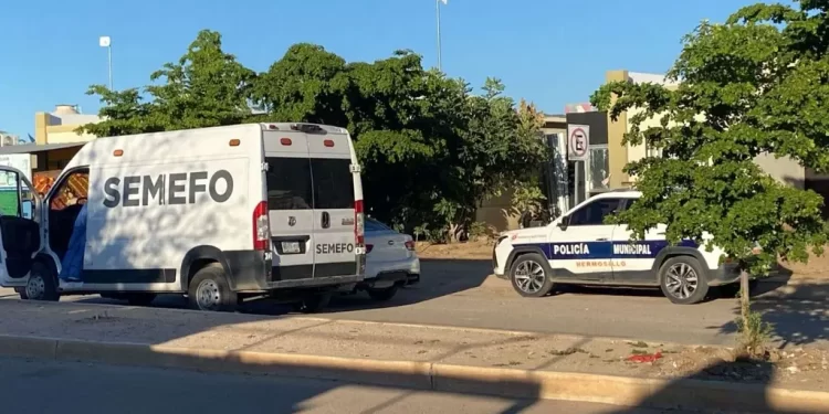 Recolectores de Dátiles Cayeron de Cuatro Metros de Altura en San Luis Río Colorado; Esto Pasó