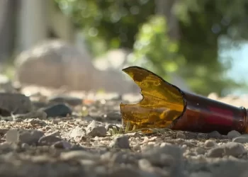 Encuesta coloca a Colosio Riojas como favorito en Sonora; podría ganar con MC y Morena