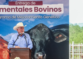 Con entrega de 100 sementales en Sonora arrancó el Programa Integral de Producción de Carne