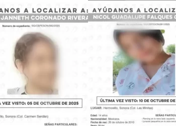 Mujer Fue Asesinada a Balazos Dentro de su Domicilio en Colonia Las Granjas de Hermosillo