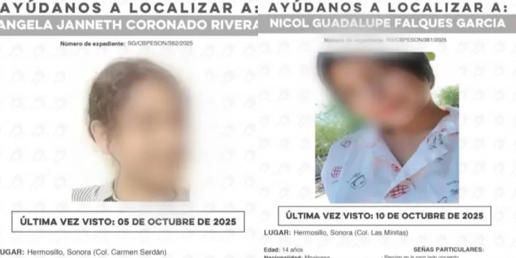 Mujer Fue Asesinada a Balazos Dentro de su Domicilio en Colonia Las Granjas de Hermosillo