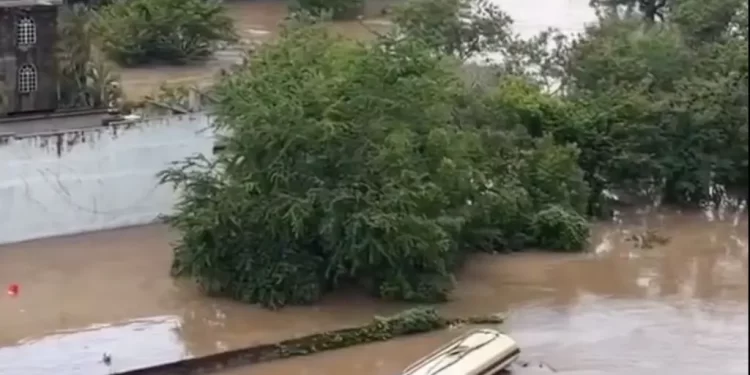 En Sonora, Guardia Nacional y Ejército Mexicano aseguran material bélico