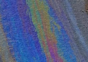 Un Hombre Fue Ejecutado a Balazos Cuando Regresaba a su Domicilio en Hermosillo