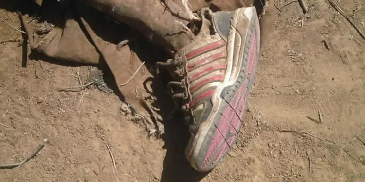 Hallan sin vida a Diego Tufiño Hernández en Sonora tras intentar llegar a Estados Unidos