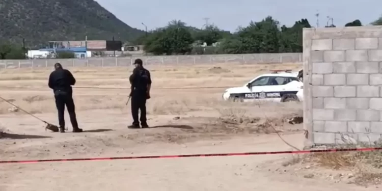 Detienen a sujeto que lanzó una granada contra policías de Sonora