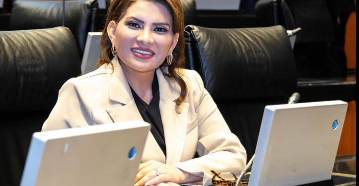 La seguridad de las familias es una prioridad: Lorenia Valles