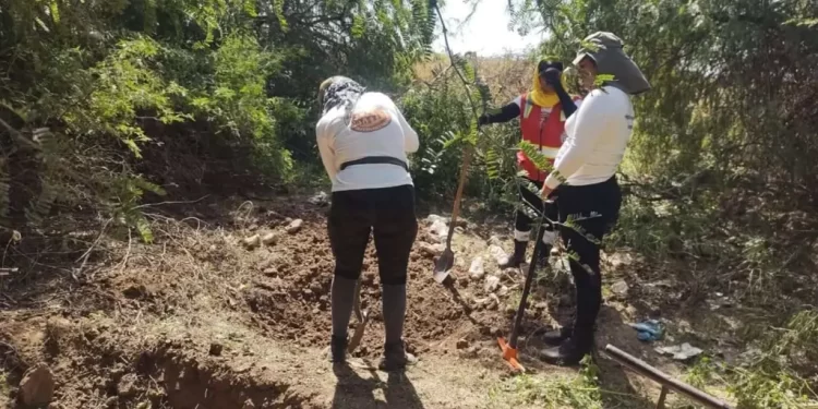 Aseguran Arsenal y Capturan a Ocho Presuntos Integrantes de Grupo Criminal en Rosario Tesopaco