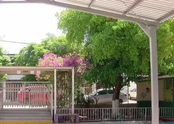 Suspenden Clases en Kínder Donde Niña de 5 Años fue Picada por un Alacrán y Murió en Hermosillo