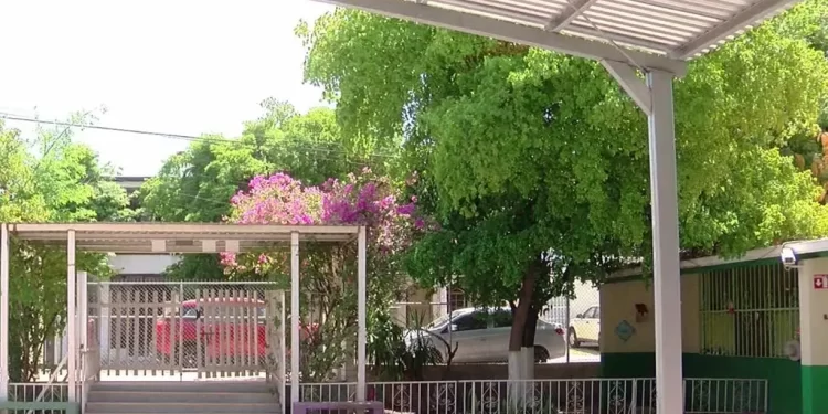 Suspenden Clases en Kínder Donde Niña de 5 Años fue Picada por un Alacrán y Murió en Hermosillo