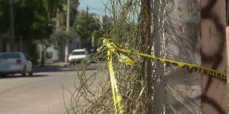 Sujetos Armados Disparan a Hombre Dentro de Templo Religioso en Ciudad Obregón