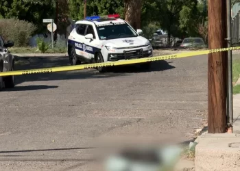 Recolectores de Dátiles Cayeron de Cuatro Metros de Altura en San Luis Río Colorado; Esto Pasó